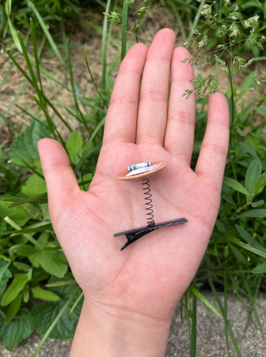 Coke Plate Sprout ❄️💸