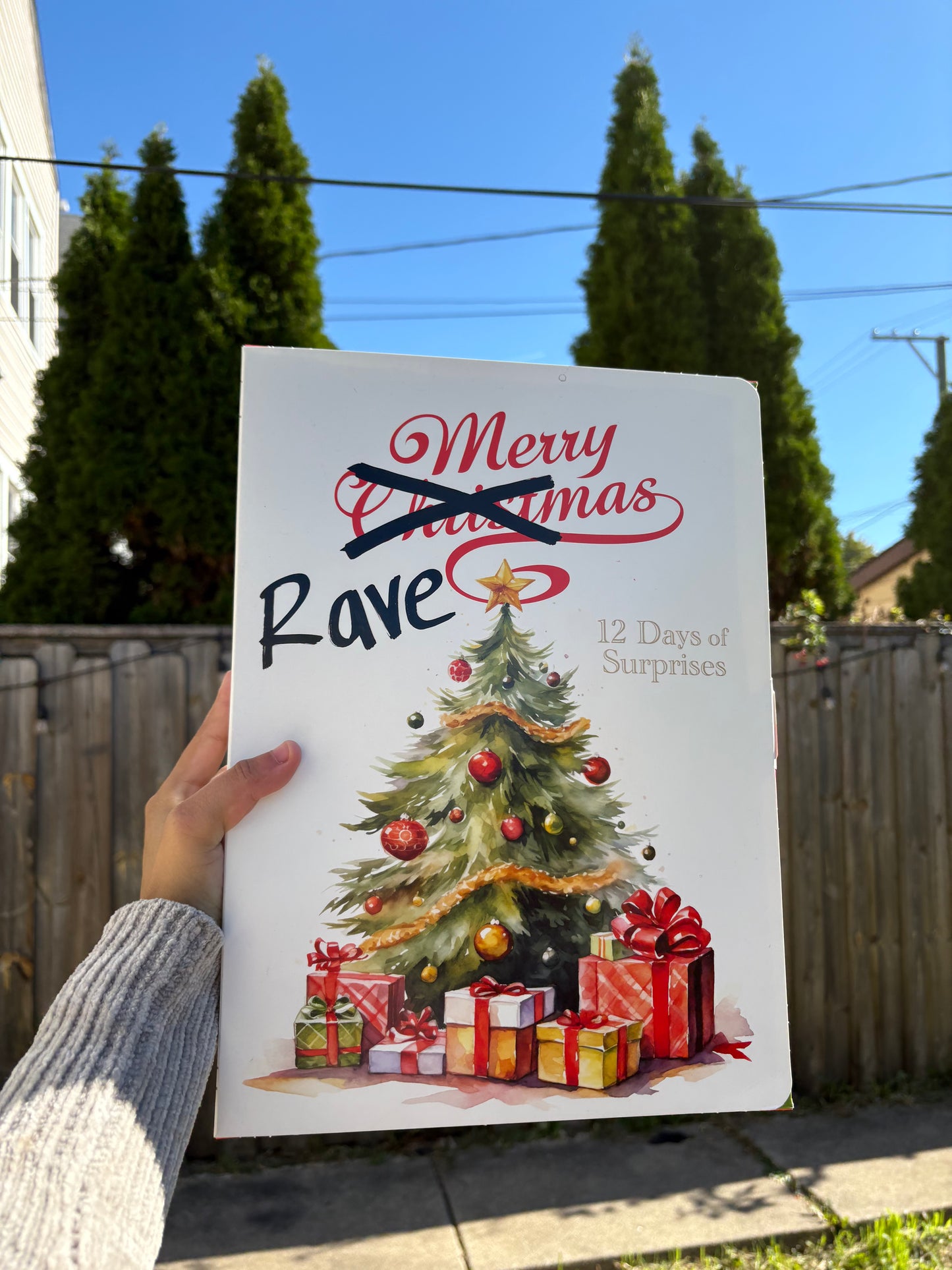 Ravemas 12-day Advent Calendar🎅🏼🎄