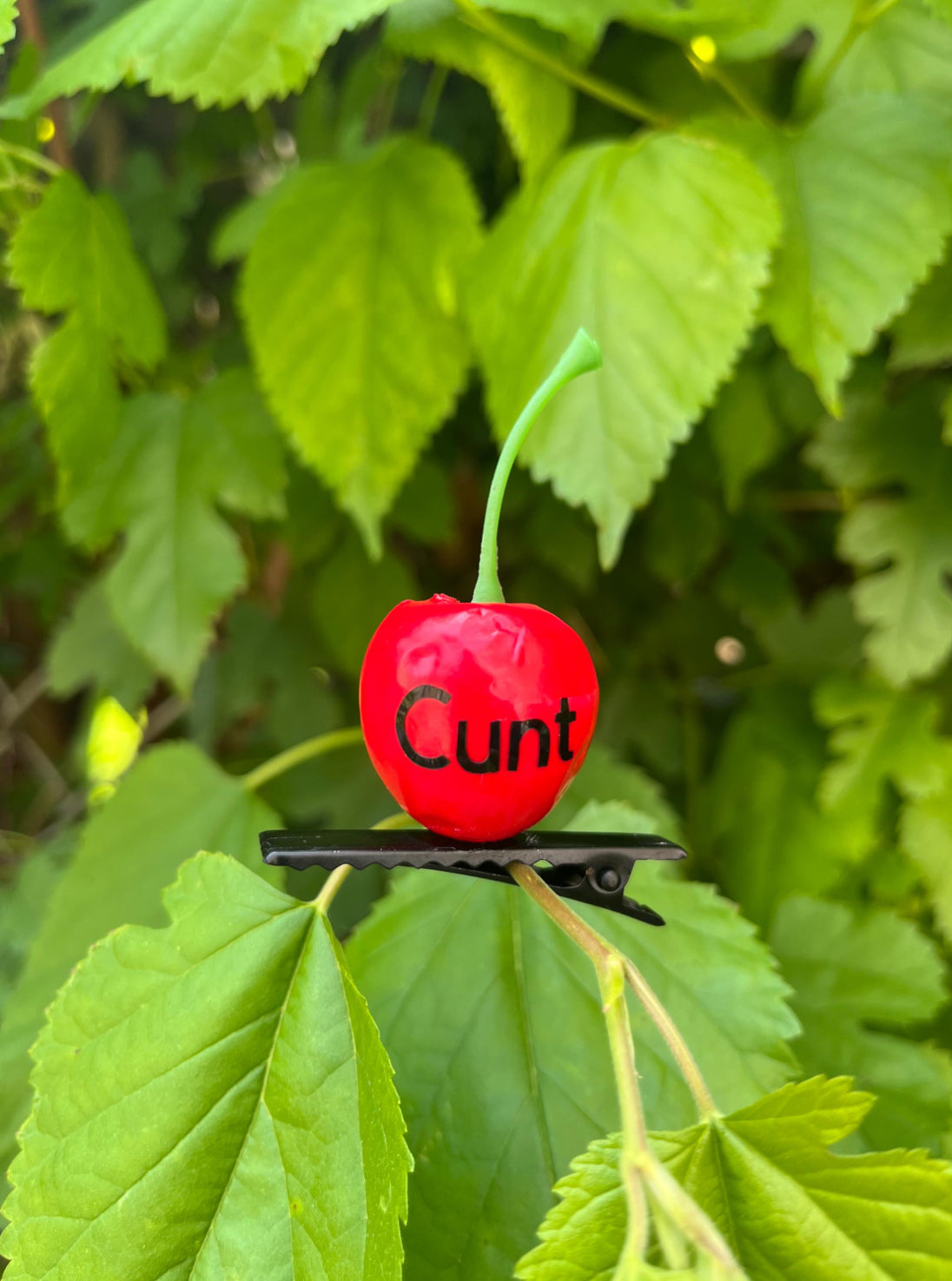 Cunt Cherry Sprout ( Pack of 4 )🍒