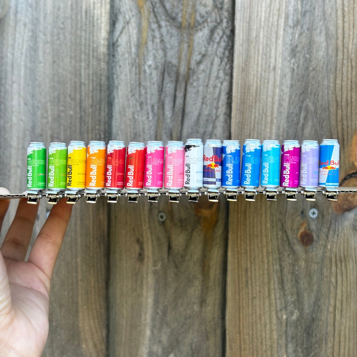 Mini RedBull Can Sprout 🧃